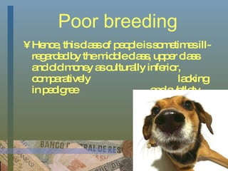 Poor breeding Hence, this class of people is sometimes ill-regarded by the middle class, upper class and old money as culturally inferior, comparatively    lacking in pedigree    and subtlety. 