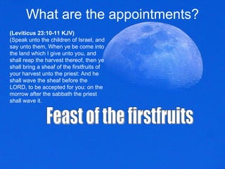 What are the appointments? (Leviticus 23:10-11 KJV) (Speak unto the children of Israel, and say unto them, When ye be come into the land which I give unto you, and shall reap the harvest thereof, then ye shall bring a sheaf of the firstfruits of your harvest unto the priest: And he shall wave the sheaf before the LORD, to be accepted for you: on the morrow after the sabbath the priest shall wave it.  Feast of the firstfruits  