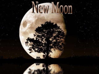 New Moon 