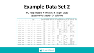 Example Data Set 2
442 Responses to NewMR AI in Insight Study
QuestionPro Export – 24 columns
 