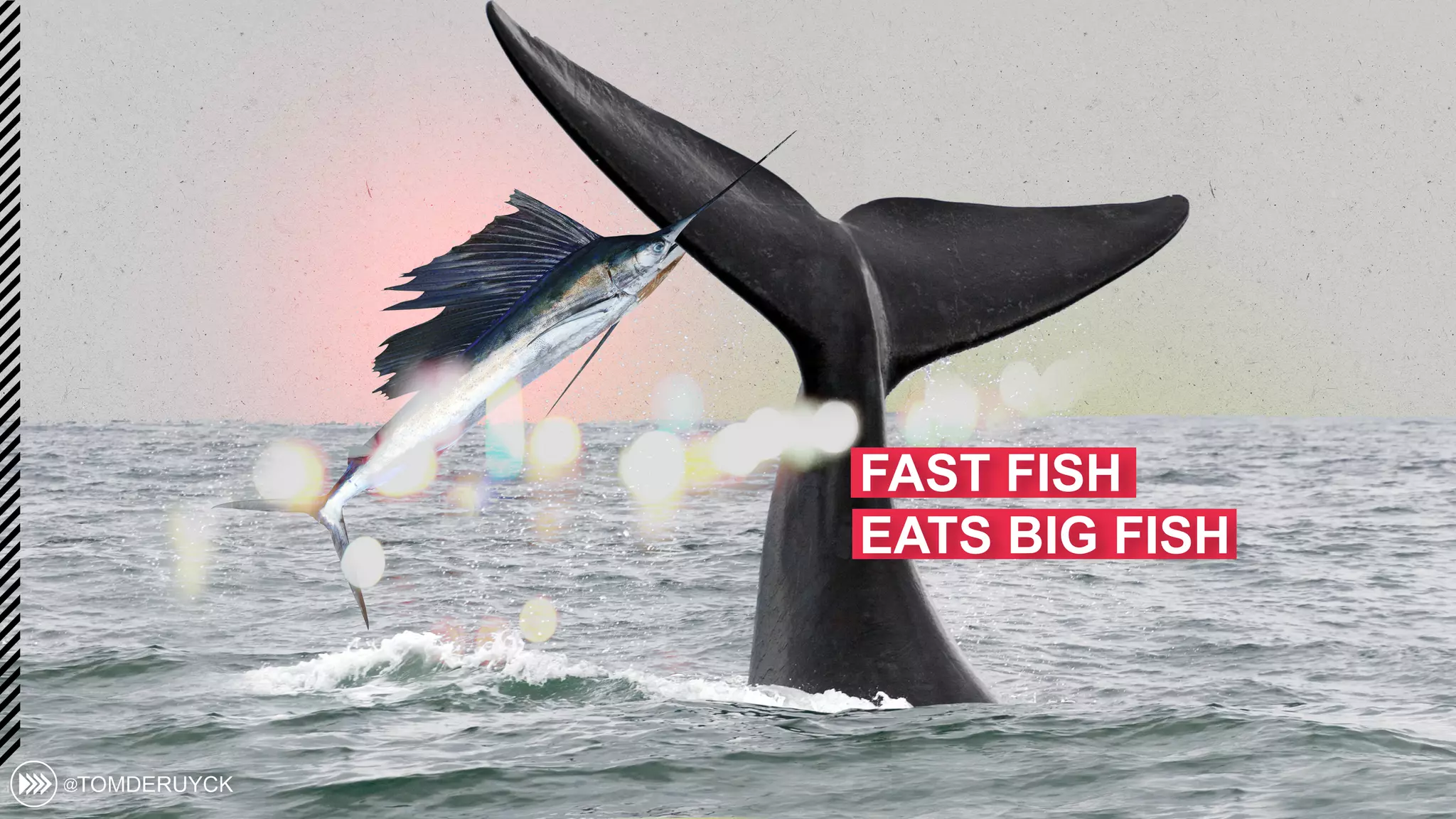 FAST FISH
EATS BIG FISH
 