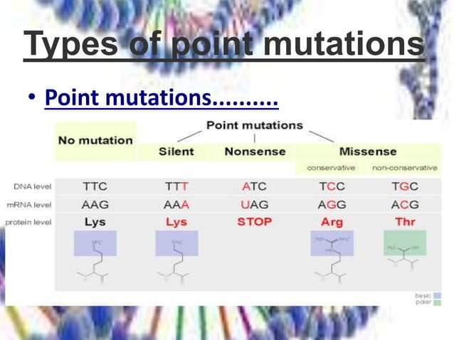 mutations and its related diseases | PPTX