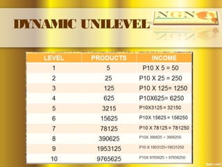 DYNAMIC UNILEVEL
 