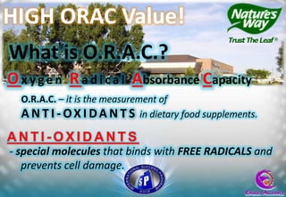 HIGH ORAC Value!
What is O.R.A.C.?
O x y g e n R a d i c a l Absorbance Capacity
  O.R.A.C. – it is the measurement of
  A N T I - O X I D A N T S in dietary food supplements.
ANTI-OXIDANTS
- special molecules that binds with FREE RADICALS and
   prevents cell damage.
 