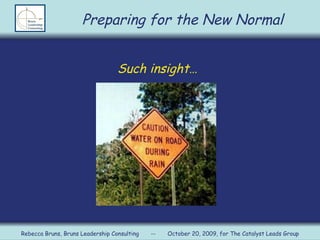 Such insight… Preparing for the New Normal Rebecca Bruns, Bruns Leadership Consulting  --  October 20, 2009, for The Catalyst Leads Group 