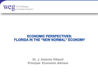 Dr. J. Antonio Villamil
Principal Economic Advisor
 