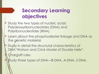 Nucleic Acids & Protein biochemistry ppt | PPTX