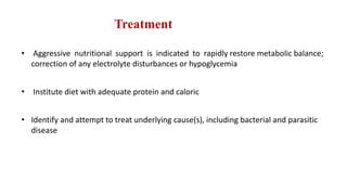 Treatment
• Aggressive nutritional support is indicated to rapidly restore metabolic balance;
correction of any electrolyte disturbances or hypoglycemia
• Institute diet with adequate protein and caloric
• Identify and attempt to treat underlying cause(s), including bacterial and parasitic
disease
 