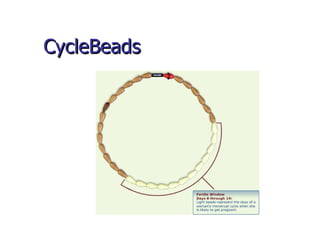 CycleBeads 