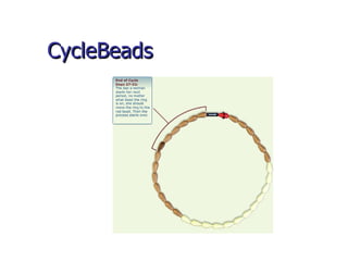 CycleBeads 