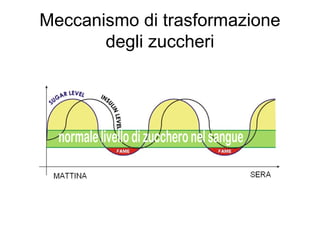 Meccanismo di trasformazione
       degli zuccheri
 