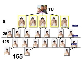 TU

5
                  1 LINEA




25                2 LINEA




125              3 LINEA




      155
 