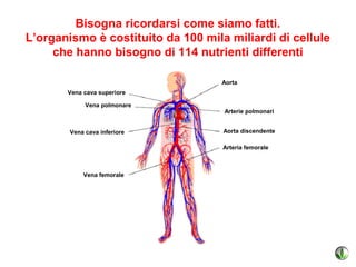 Bisogna ricordarsi come siamo fatti.
L’organismo è costituito da 100 mila miliardi di cellule
     che hanno bisogno di 114 nutrienti differenti

                                    Aorta
       Vena cava superiore

             Vena polmonare
                                    Arterie polmonari


        Vena cava inferiore         Aorta discendente

                                    Arteria femorale



            Vena femorale
            Vena femorale
 