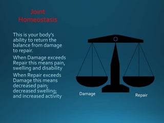 Joint
Homeostasis
Damage Repair
 