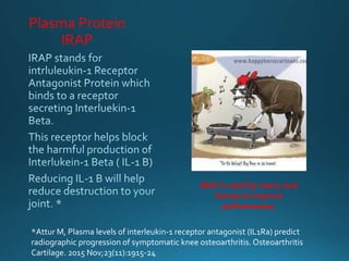 Plasma Protein
IRAP
*Attur M, Plasma levels of interleukin-1 receptor antagonist (IL1Ra) predict
radiographic progression of symptomatic knee osteoarthritis. Osteoarthritis
Cartilage. 2015 Nov;23(11):1915-24
IRAP is used by many race
horses to improve
performances.
 