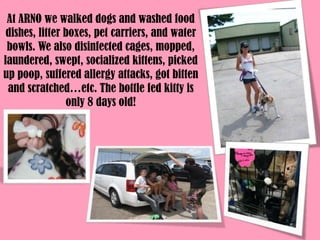 At ARNO we walked dogs and washed food dishes, litter boxes, pet carriers, and water bowls. We also disinfected cages, mopped, laundered, swept, socialized kittens, picked up poop, suffered allergy attacks, got bitten and scratched…etc. The bottle fed kitty is only 8 days old!