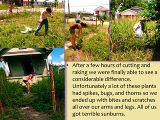 After a few hours of cutting and raking we were finally able to see a considerable difference. Unfortunately a lot of these plants had spikes, bugs, and thorns so we ended up with bites and scratches all over our arms and legs. All of us got terrible sunburns.
