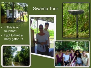 Swamp Tour^ This is our tour boat.I got to hold a baby gator! 