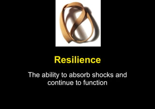 Resilience The ability to absorb shocks and continue to function 