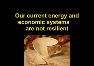 Our current energy and economic systems  are not resilient 
