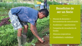 • Manejo de donantes +
herramientas de comunicación
• Academias + capacitaciones
• Campañas de recaudación de
fondos
• Alianzas corporativas
• Credibilidad y visibilidad
Beneficios de
ser un Socio
 