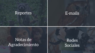 Reportes E-mails
Notas de
Agradecimiento
Redes
Sociales
 