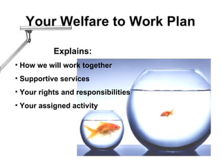 Your Welfare to Work Plan Explains: How we will work together Supportive services Your rights and responsibilities Your assigned activity 