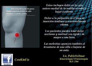 Tendinitis Pata de Ganso