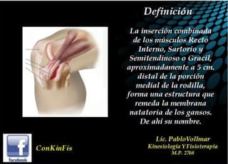 Tendinitis Pata de Ganso