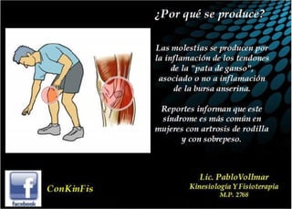Tendinitis Pata de Ganso
