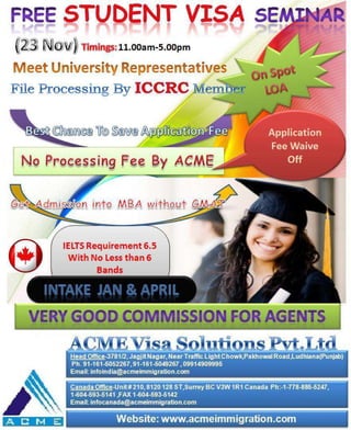 ACME Visa Solutions