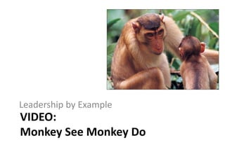 VIDEO:
Monkey See Monkey Do
Leadership by Example
 