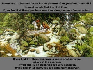 Organizational Behavior / Perception 