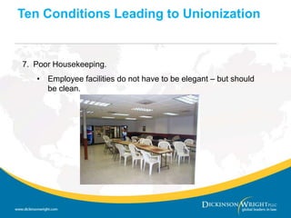 Among Occupational Groups, Education Training and Library employees had highest rate of 38.1% followed by Protective Services at 35.6%Unions in America Today Union Membership by State in 200920.212.313.911.76.817.015.110.86.315.25.526.616.67.718.811.115.0- 17.915.79.214.219.310.617.5- 11.96.97.013.917.24.76.29.4- 10.48.63.112.65.16.55.76.74.24.54.64.810.95.85.122.35.823.5