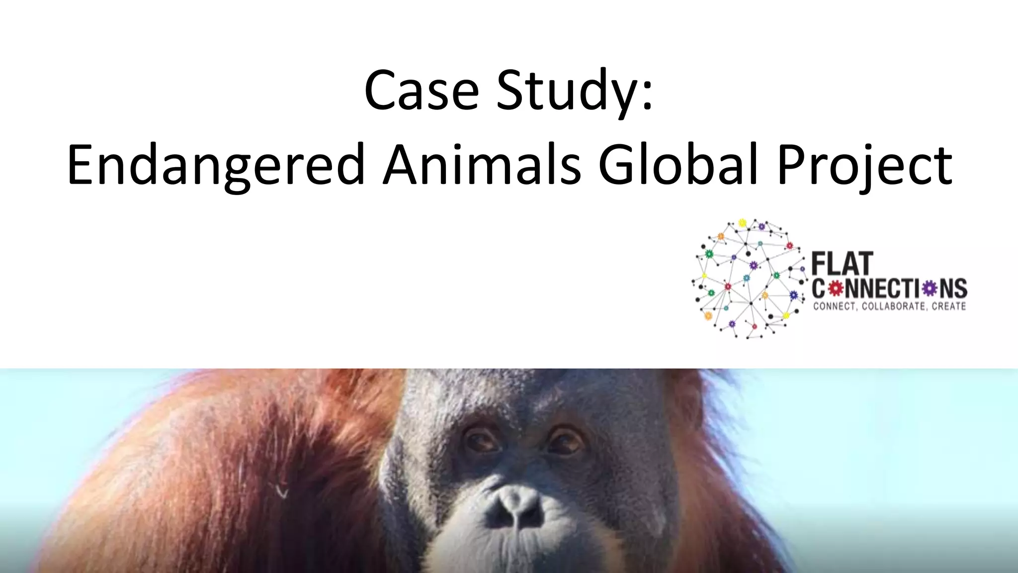 Case Study:
Endangered Animals Global Project
 