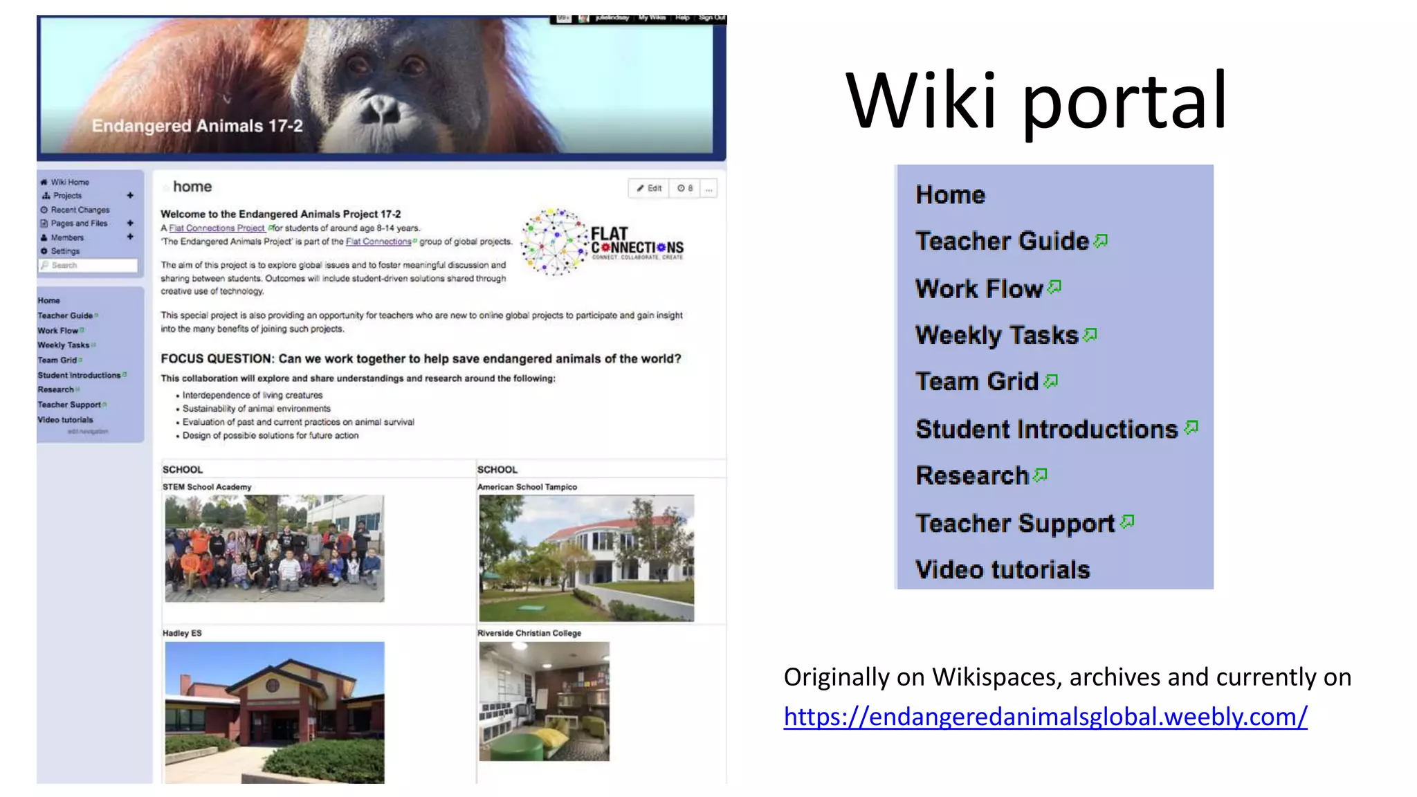 Wiki portal
Originally on Wikispaces, archives and currently on
https://endangeredanimalsglobal.weebly.com/
 