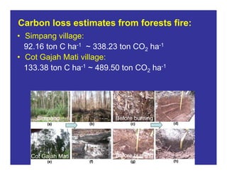 New perspectives on reducing peatland emissions from oil palm