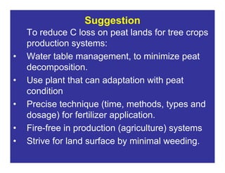 New perspectives on reducing peatland emissions from oil palm
