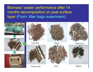 New perspectives on reducing peatland emissions from oil palm