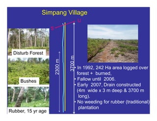 New perspectives on reducing peatland emissions from oil palm
