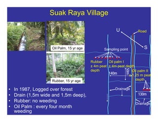 New perspectives on reducing peatland emissions from oil palm