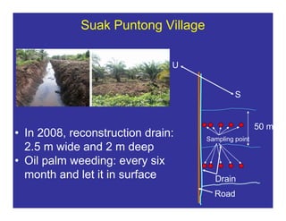 New perspectives on reducing peatland emissions from oil palm