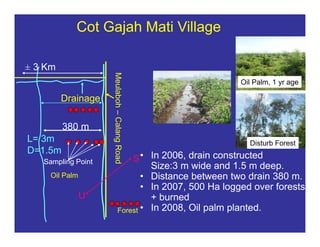 New perspectives on reducing peatland emissions from oil palm