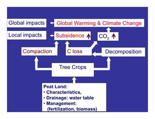 New perspectives on reducing peatland emissions from oil palm