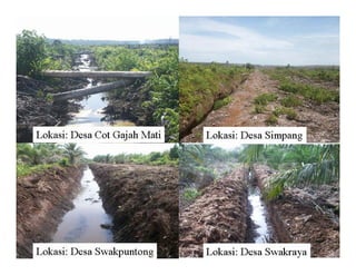 New perspectives on reducing peatland emissions from oil palm