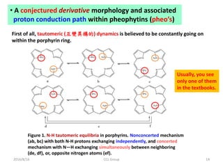 2016/8/16 CCL Group 14
Figure 1. N-H tautomeric equilibria in porphyrins. Nonconcerted mechanism
(ab, bc) with both N-H protons exchanging independently, and concerted
mechanism with N—H exchanging simultaneously between neighboring
(de, df), or, opposite nitrogen atoms (ef).
• A conjectured derivative morphology and associated
proton conduction path within pheophytins (pheo’s)
First of all, tautomeric (互變異構的) dynamics is believed to be constantly going on
within the porphyrin ring.
Usually, you see
only one of them
in the textbooks.
 