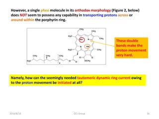 2016/8/16 CCL Group 16
However, a single pheo molecule in its orthodox morphology (Figure 2, below)
does NOT seem to possess any capability in transporting protons across or
around within the porphyrin ring.
Namely, how can the seemingly needed tautomeric dynamic ring current owing
to the proton movement be initiated at all?
These double
bonds make the
proton movement
very hard.
 