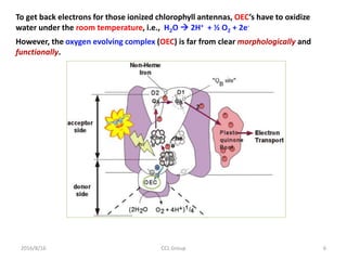 However, the oxygen evolving complex (OEC) is far from clear morphologically and
functionally.
To get back electrons for those ionized chlorophyll antennas, OEC’s have to oxidize
water under the room temperature, i.e., H2O  2H+ + ½ O2 + 2e-
2016/8/16 6CCL Group
 