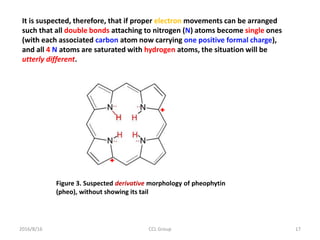 2016/8/16 CCL Group 17
Figure 3. Suspected derivative morphology of pheophytin
(pheo), without showing its tail
It is susp...