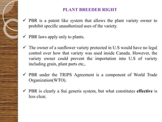 PLANT BREEDER RIGHT
 PBR is a patent like system that allows the plant variety owner to
prohibit specific unauthorized uses of the variety.
 PBR laws apply only to plants.
 The owner of a sunflower variety protected in U.S would have no legal
control over how that variety was used inside Canada. However, the
variety owner could prevent the importation into U.S of variety
including grain, plant parts etc,.
 PBR under the TRIPS Agreement is a component of World Trade
Organization(WTO).
 PBR is clearly a Sui generis system, but what constitutes effective is
less clear,
 